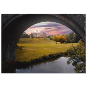 5cdfc036-c24b-484d-931e-fa37edc096df