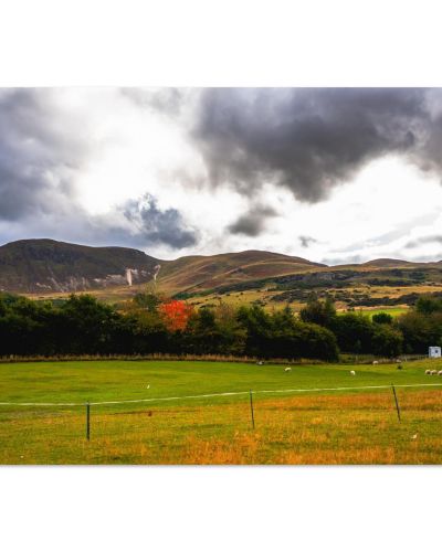 Dramatic Pentland Hills Sheep Field View | Scottish Landscape Photo Print | Edinburgh Wall Art | Premium Matte Paper Poster