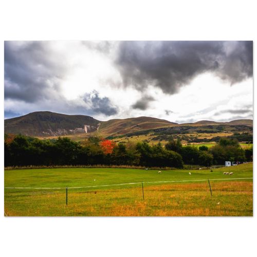 Dramatic Pentland Hills Sheep Field View | Scottish Landscape Photo Print | Edinburgh Wall Art | Premium Matte Paper Poster