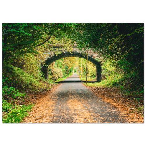 Roseburn Path | Autumn Foliage on an Urban Walkway | Seasonal Photography | Premium Matte Paper Poster