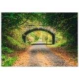 88117c55-d13b-40ec-bd20-8817571590f4