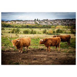 8aea75e6-2a79-4b30-bb8d-bd876fc8a392