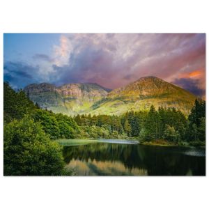 8d3631d5-a846-4692-b87a-d099b12dfbb6