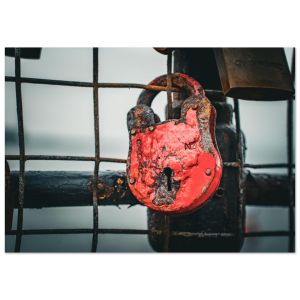 97168485-5074-4463-83da-01bb0f94e5aa