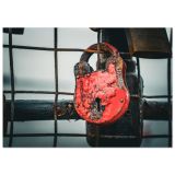 97168485-5074-4463-83da-01bb0f94e5aa