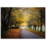 ae3f444d-9766-4e01-bf63-45660a08f83a