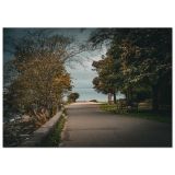 e40c1d92-3610-4786-8c96-b88374f125c9