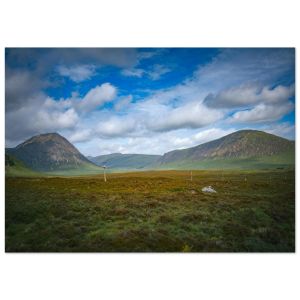 ef73c70c-d909-4538-a128-3ab50bb5d584