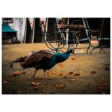f1187253-9afd-4728-bcb2-9cc8c1da121b