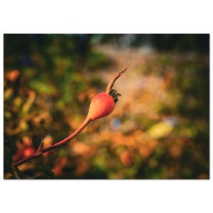 f56222bd-3159-4c4f-a318-c3b01694ee87