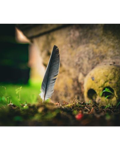 Feather and The Grave | Memento Mori Gravestone Art in Scotland | Historical Photography | Premium Matte Paper Poster
