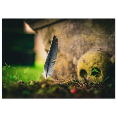 Feather and The Grave | Memento Mori Gravestone Art in Scotland | Historical Photography | Premium Matte Paper Poster