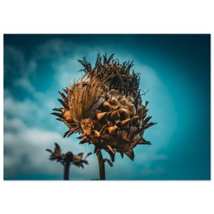 ff93f1af-cb36-4841-9b9e-162de77cb297